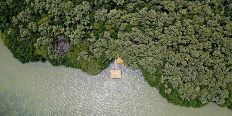 Cooperativas de Campeche y Yucatán, solidarias ante las consecuencias del COVID 19: Implementan trueque, intercambiando productos del mar por productos de milpas y solares