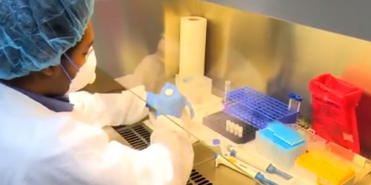 Piden naciones “evaluación imparcial, independiente y completa” de la pandemia, incluidas las acciones de la OMS