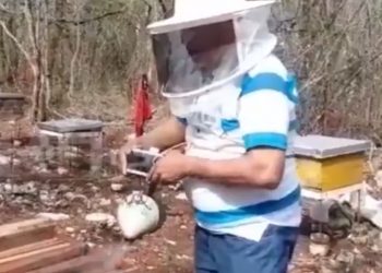 Estados de emergencia están exacerbando la marginalización de las comunidades indígenas, advierten