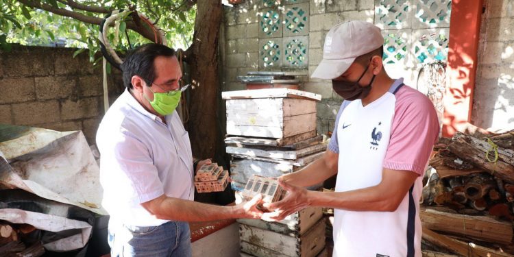 Apicultores yucatecos son respaldados por el gobierno del Estado para impulsar la producción de miel