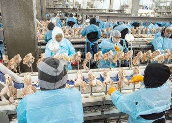 La producción de carne en los Estados Unidos sigue disminuyendo a medida que la crisis del coronavirus obliga al cierre de más instalaciones de procesamiento por los contagios entre los empleados