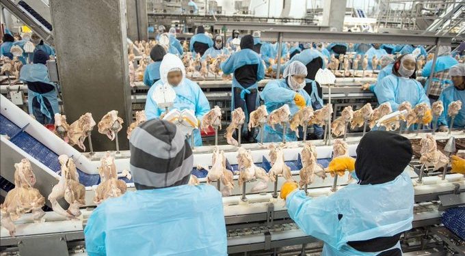 La producción de carne en los Estados Unidos sigue disminuyendo a medida que la crisis del coronavirus obliga al cierre de más instalaciones de procesamiento por los contagios entre los empleados