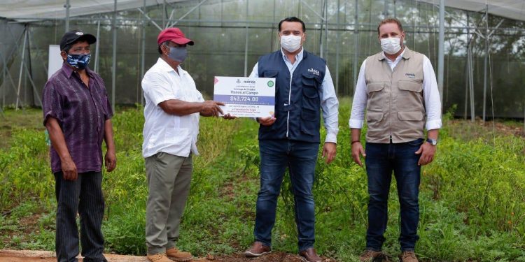 El alcalde Renán Barrera Concha entrega apoyos a beneficiarios del programa emergente “Manos al campo”