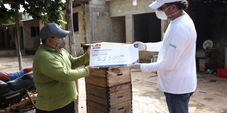 No podemos abandonar, ni dejar a su suerte a los miles de campesinos yucatecos afectados por “Amanda” y “Cristóbal”: gobernador Mauricio Vila Dosal