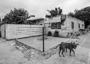 El Concurso “La Cuarentena” del Ayuntamiento de Mérida continuará en los meses de junio y julio