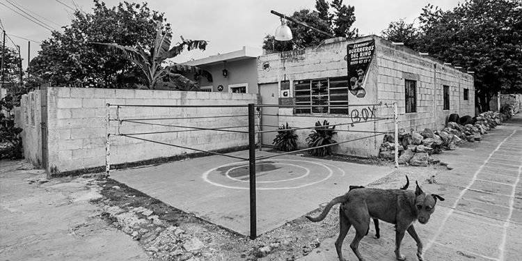 El Concurso “La Cuarentena” del Ayuntamiento de Mérida continuará en los meses de junio y julio