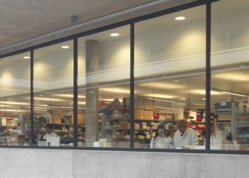 El Jenner Institute de Oxford ya está produciendo una supuesta vacuna contra el coronavirus diseñada y desarrollada por científicos de esta universidad británica