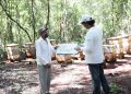 Más de 1,272 apicultores yucatecos de 83 municipios del interior del Estado reciben un apoyo económico por parte del gobierno estatal