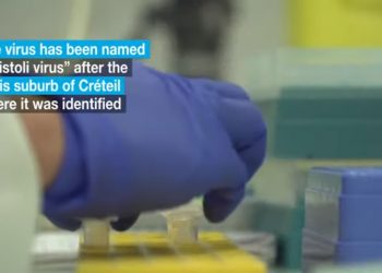 Descubren nuevo virus en París / Un equipo del Hospital Henri-Mondor ha identificado un virus responsable de la inflamación del cerebro al que han llamado “Cristoli”