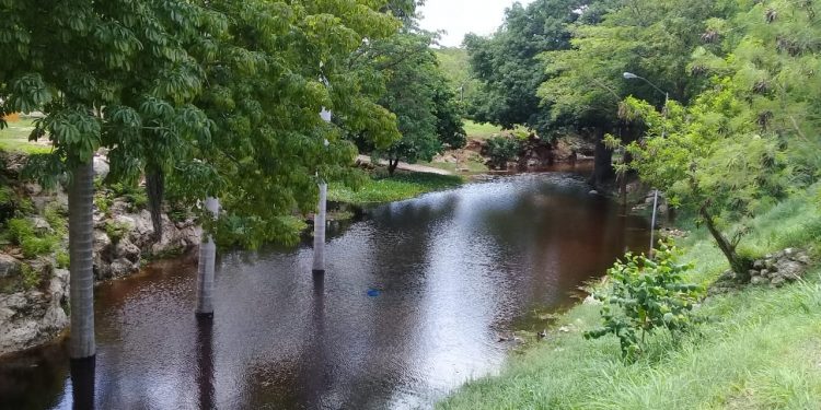 El “mosco negro”, ataca nuevamente a meridanos, secuela de la tormenta Cristóbal
