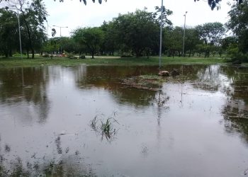 Parque Ecológico del Poniente, con nuevos lagos tras fuertes lluvias