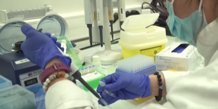 El FMI prevé una recesión mundial más profunda en 2020 y una recuperación más lenta en 2021 / La vacuna contra el COVID-19, incierta, advierte