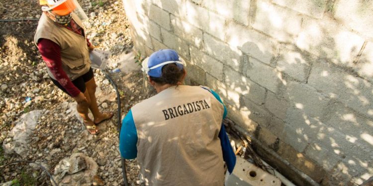 Tras la tormenta, la prioridad es el combate a los moscos en Kinchil