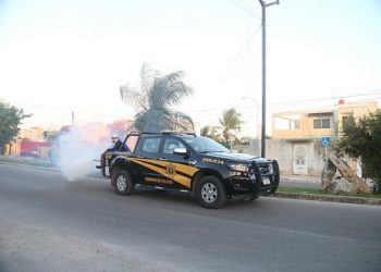 En este año, alto el riesgo de propagación de dengue