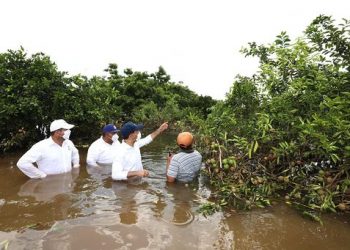 El gobernador constató los daños causados por las fuertes lluvias en tramos carreteros y cultivos en el cono sur del Estado