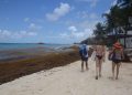Foto noticia / Playa del Carmen: erosión de playas, zargazo, coronavirus y obras