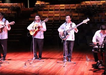 Sedeculta abre seis convocatorias para impulsar la creación y difusión de arte y cultura / Estímulos de 50,000 pesos a proyectos de exposiciones visuales y cortometrajes, en los cuales se reflexione sobre la naturaleza y la conservación ambiental