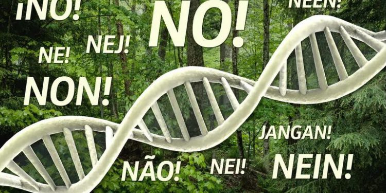 Rechazamos la manipulación genética de los bosques, dice la organización ambientalista “Salva la Selva” / Científicos han manipulado el genoma del castaño americano para hacerlo resistente a la plaga que casi aniquiló la especie a principios del siglo XX y pretenden liberarlo