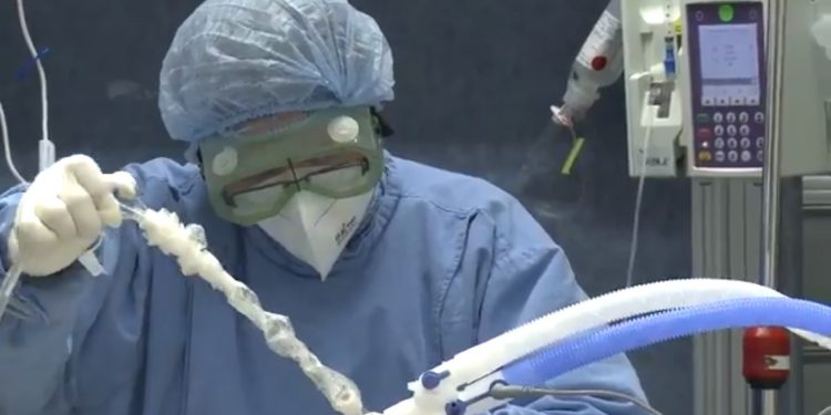 Estiman en más de 200 mil fallecimientos por COVID19 en Estados Unidos para noviembre / Hasta ahora sigue siendo la nación más afectada por la pandemia