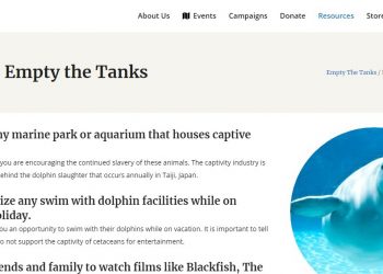 Delfines y mamíferos marinos viven en condiciones insalubres en Dolphin Discovery, México /  Una fuente anónima en México ha enviado a Empty the Tanks videos y fotos inquietantes de los tanques donde sobreviven delfines