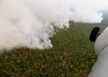 Los incendios forestales intensos se están extendiendo por el Círculo Polar Ártico, superando los números registrados en junio de 2019, en medio de temperaturas “excepcionalmente altas” en la región siberiana