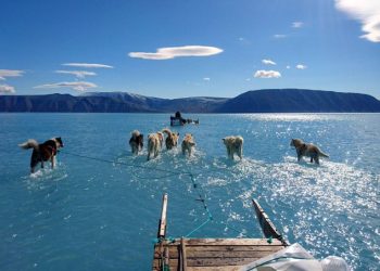 Groenlandia estableció un nuevo récord de pérdida de hielo en 2019 lo que significa un aumento del nivel de los mares y una amenaza para las poblaciones costeras, advierte nuevo estudio