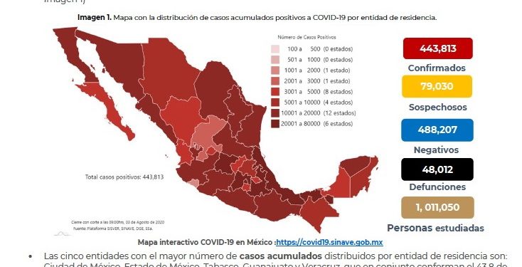 Las “Personas dedicadas al hogar” representan el grupo con el mayor número de occisos por COVID19: específicamente, nueve mil 896 casos, el 24.55 por ciento, seguido de los “Empleados”, con seis mil 498 finados, el 16.12 por ciento, y los “Jubilados/ pensionados”, con seis mil 328, el 15.7 porcentual