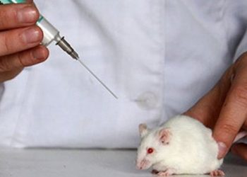 Documentan nuevo efecto secundario que se presenta en pacientes recuperados de COVID-19: después de los síntomas relacionados con la anosmia, que es la pérdida del gusto y el olfato hay parosmia en algunas personas, afirman