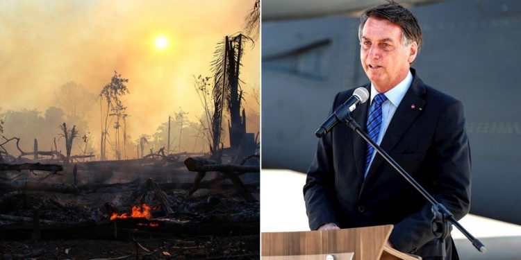 Los incendios en la Amazonía brasileña aumentaron un 28 % en julio frente al mismo mes de 2019 y amenazan con expandirse en los próximo meses / Desde que el presidente Jair Bolsonaro asumió el cargo en 2019, la deforestación ha ido en aumento