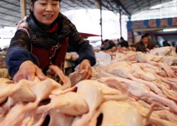 Tres ciudades chinas reportan haber hallado trazas de coronavirus en muestras de un lote de alitas de pollo congeladas importadas de Brasil / También se ha encontrado al COVID19 en productos marinos de Ecuador
