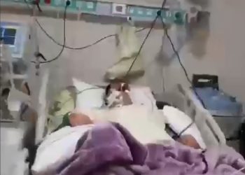 El número de muertos por COVID-19 en Irán​ sería casi el triple de la cifra reconocida por el gobierno de ese país, según una investigación del servicio persa de la cadena BBC, el que habría recibido una supuesta filtración de una fuente anónima que cita datos, nombres, edades, síntomas de quienes habrían fallecido