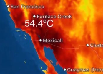 La Organización Metereológica Mundial verificará la temperatura de 54,4 grados Celsius reportada el domingo en el Valle de la Muerte, en California, Estados Unidos / De comprobarse, se trataría de la temperatura más alta registrada desde 1931