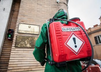 Greenpeace México dice que la postura de Víctor Manuel Villalobos Arámbula es la de un arduo promotor de los agrotóxicos, los monocultivos y los transgénicos / El glifosato es probable carcinógeno y está asociado a una amplia variedad de efectos dañinos a la salud y a la diversidad biológica