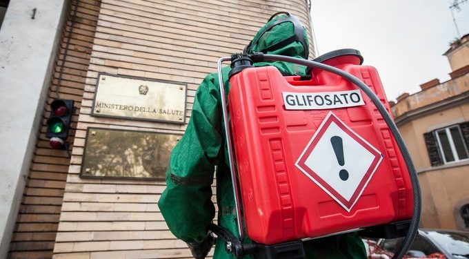 Greenpeace México dice que la postura de Víctor Manuel Villalobos Arámbula es la de un arduo promotor de los agrotóxicos, los monocultivos y los transgénicos / El glifosato es probable carcinógeno y está asociado a una amplia variedad de efectos dañinos a la salud y a la diversidad biológica