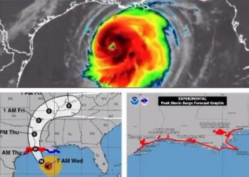 El huracán Laura se convirtió en categoría 3 con vientos de 115 millas por hora y continuará fortaleciéndose por lo que podría llegar a categoría 4 antes de impactar las costas de Texas y Louisiana esta noche
