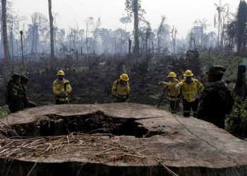 Incendios en la Amazonia provocados por acaparadores de tierras y ganaderos salvajes: obispos brasileños rechazan acusaciones contra voluntarios y pueblos