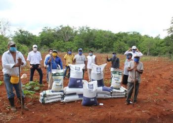 Campo yucateco registra importante crecimiento, a pesar de la complicada situación actual, según datos del INEGI