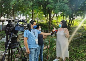 El Paseo Verde cuenta con vestigios arqueológicos con una antigüedad de 15 siglos / Es un sitio con gran cantidad de vestigios mayas de diferentes períodos, con edificios de diferentes dimensiones