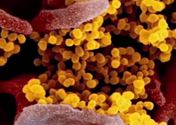 El coronavirus mutó, tornándose más contagioso, dicen investigadores del Hospital Metodista de Houston, Texas