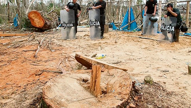 Amnistía Internacional y las Naciones Unidas repudiaron el asesinato del defensor ambiental Roberto Pacheco Villanueva, reconocido defensor del medio ambiente en la zona de Madre de Dios, Perú