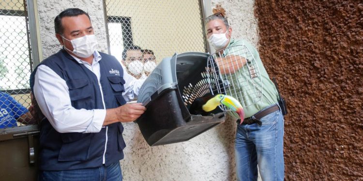 Mérida cuenta con el primer hospital veterinario ubicado en el Parque Zoológico del Centenario / La obra fue concluida en el marco del 110 aniversario de emblemático sitio de la capital yucateca