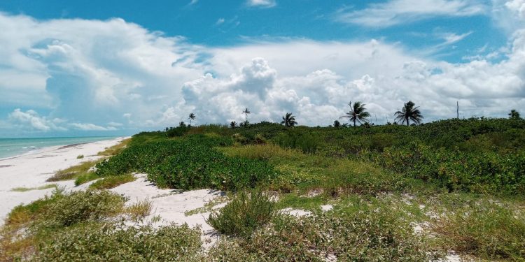 El misterio del esqueleto de El Cuyo: sin expedientes, ni investigación por Eduardo Lliteras Sentíes