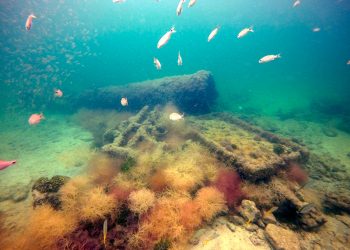 A unos cuatro kilómetros de las costas de Sisal, especialistas mexicanos identificaron al vapor “La Unión”, el primer barco que hoy se sabe fue usado para el tráfico de esclavos mayas