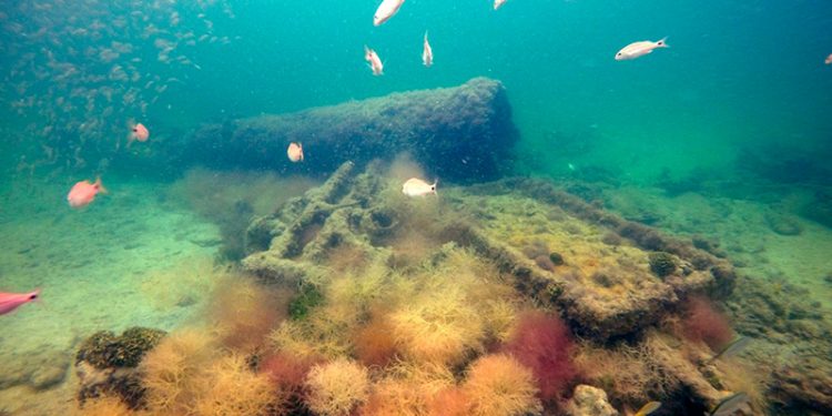 A unos cuatro kilómetros de las costas de Sisal, especialistas mexicanos identificaron al vapor “La Unión”, el primer barco que hoy se sabe fue usado para el tráfico de esclavos mayas