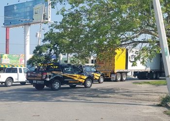Un tráiler arrastró un cable de una cablera que dejaron colgando a baja altura los empleados sobre la avenida Yucatán: estalló un transformador y arrancó un árbol