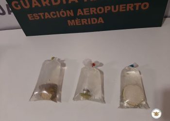 La Guardia Nacional sigue detectando tráfico de especies protegidas a través del aeropuerto de Mérida y de los servicios de paquetería / Aseguran anémonas y las entregan a la Profepa