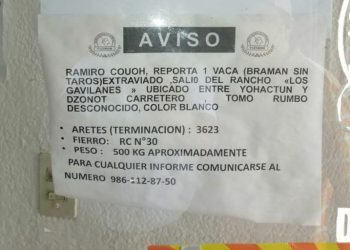 El robo de ganado en Tizimín no es tema nuevo, como el robo de autos, motos y hasta bancos, dicen ganaderos / Esperan resultado de investigaciones de las autoridades de hurtos recientes de reses y equipos