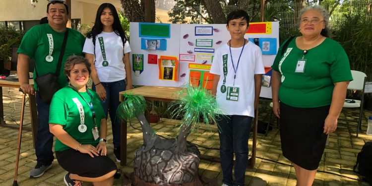 Alumnos de Talento CICY consiguen tres primeros lugares en Expociencia Yucatán 2020 / Jóvenes yucatecos ganan pase a Expociencias Nacional 2020