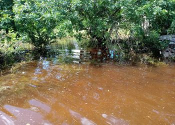 La salud de miles de familias meridanas está en riesgo debido a la mala planeación de las empresas constructoras, afirman