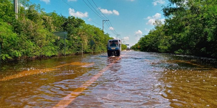 Secretaría de Salud federal confirmó dos muertos por dengue en Yucatán / En el país ya son 50 las defunciones registrados en lo que va del año